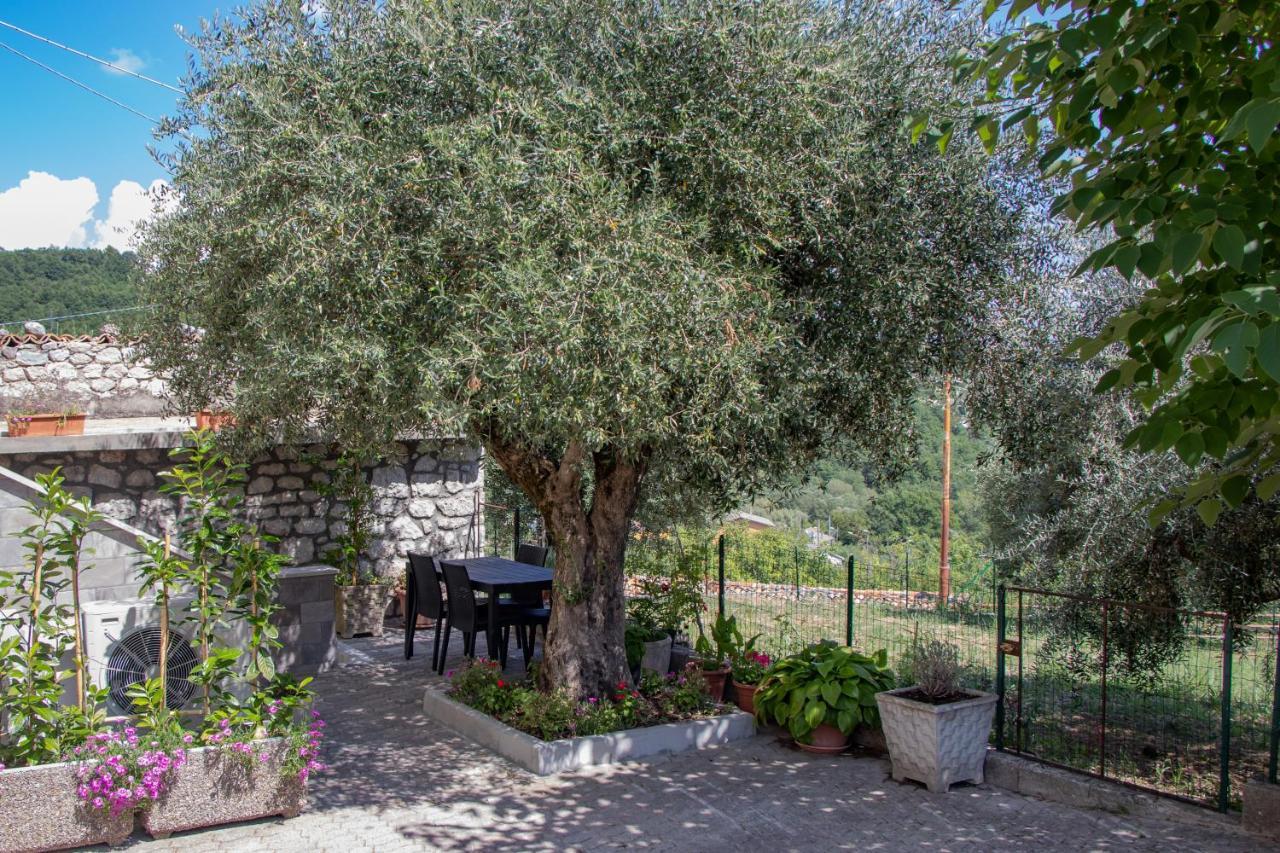 Apartamento Casa Degli Ulivi Con Parcheggio Privato Muro Lucano Exterior foto